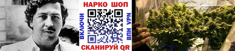 Где продают наркотики Невельск Амфетамин  Псилоцибиновые грибы  ГАШИШ  Cocaine  ЭКСТАЗИ  A PVP 