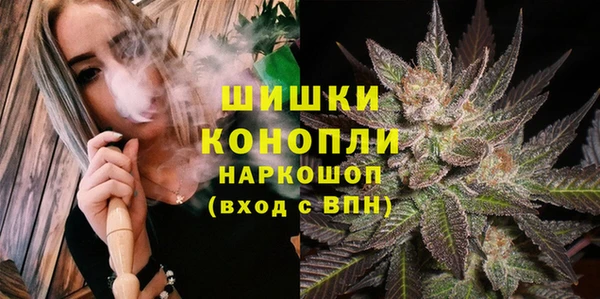 твердый Няндома