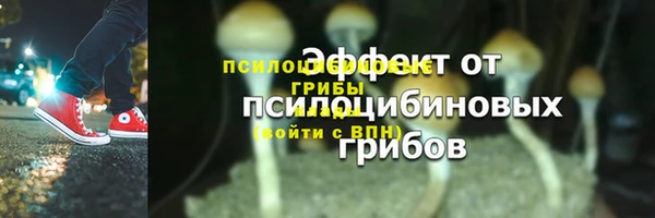 твердый Няндома