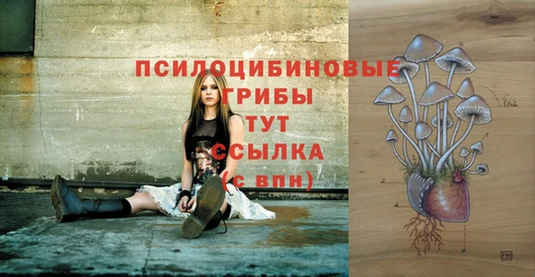 каннабис Новодвинск