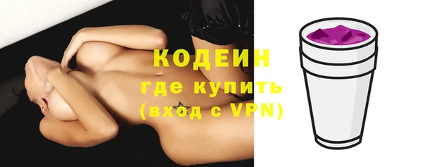 мет Новозыбков