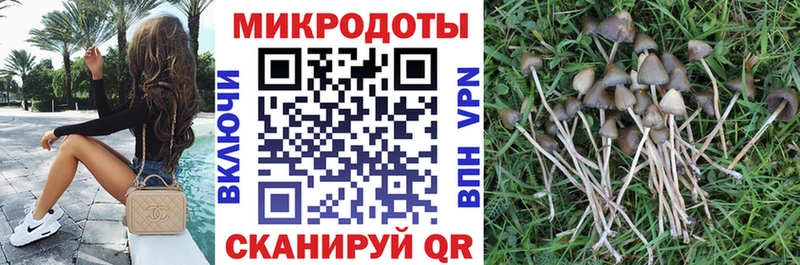 Псилоцибиновые грибы MAGIC MUSHROOMS  Невельск 